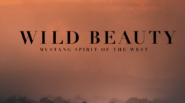 Wild Beauty, musique originale de Guillaume Roussel